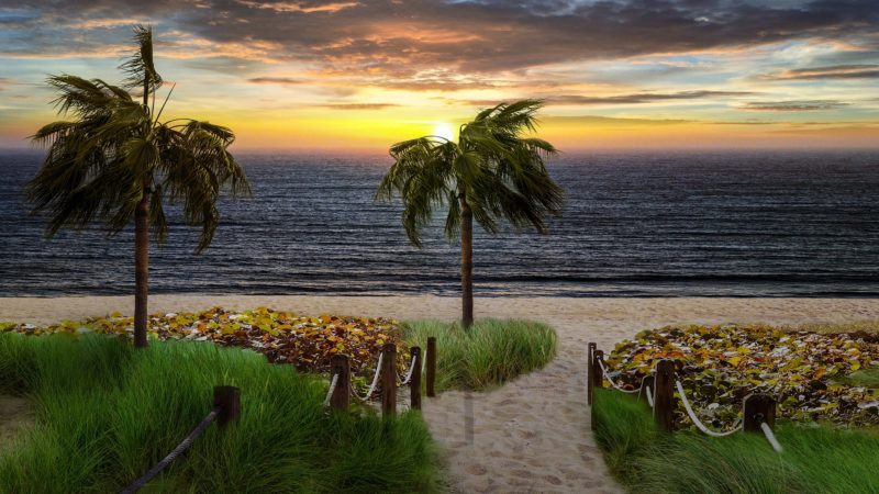 94 Good Evening Quotes and Messages