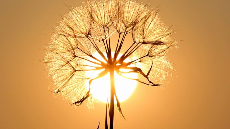 50 Quotes and Images to Welcome November