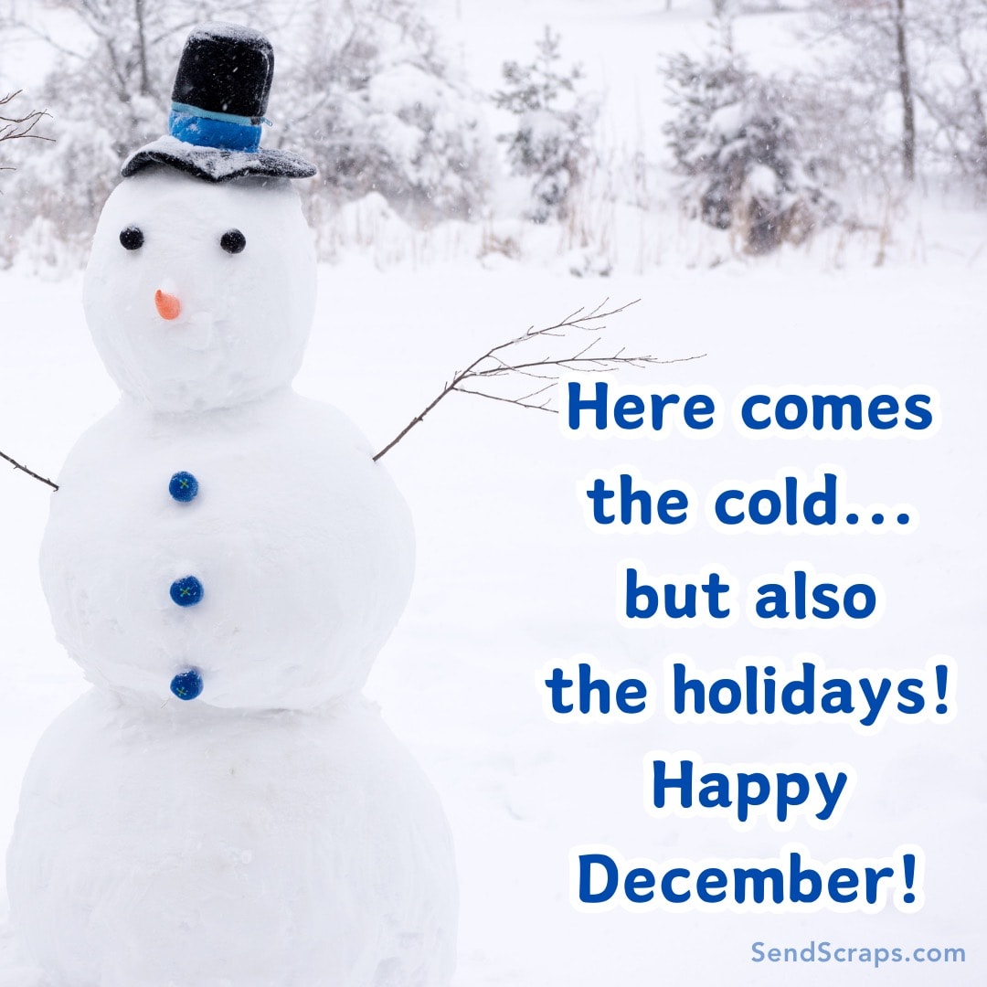 snowman with hat and blue buttons, with happy december message