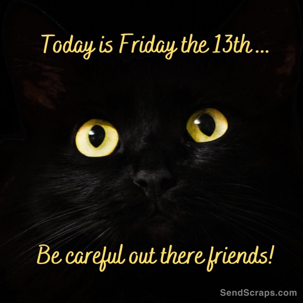 Yellow eyes of a black cat with Friday the 13th message