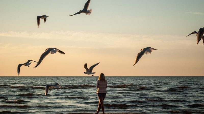 25 Touching I Miss You Messages and Quotes