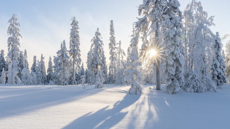 43 Welcome January Quotes and Images